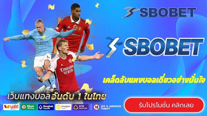 เคล็ดลับแทงบอลเดี่ยวอย่างมั่นใจ